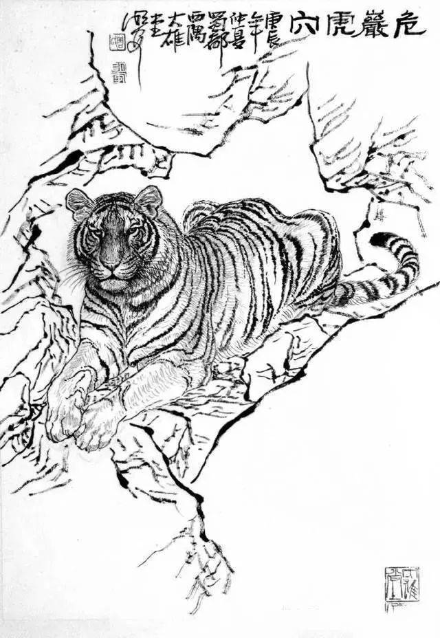 画虎步骤与技法