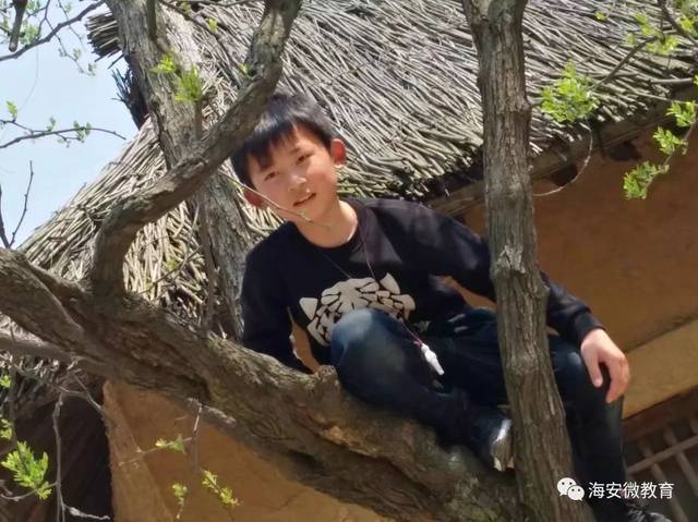 【我的期末秘笈】巧复习提效益(南莫小学 彭钰杰)