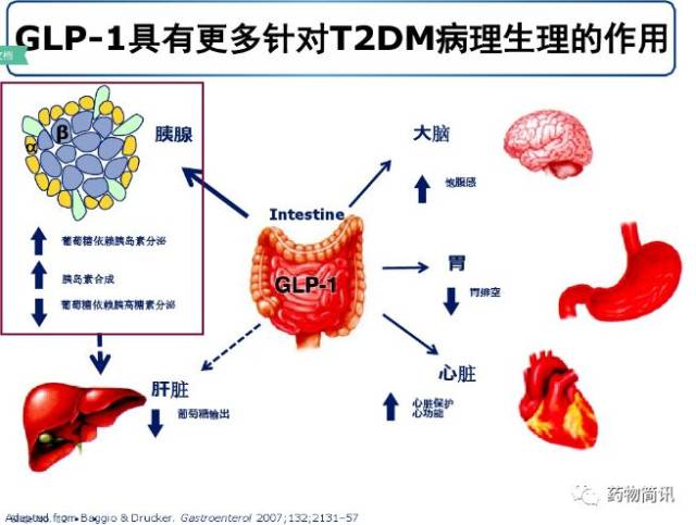 仁会生物和贝那鲁肽(预计2017过千万元.