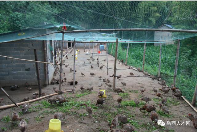 身残志坚“创客”书写励志故事,靠着勤劳的双手和坚韧的毅力合