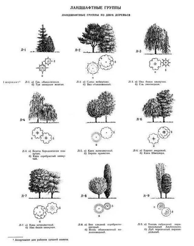 高级项目植物配置·排版 [ps] [su] [cad] [lumion] 人人都在用的