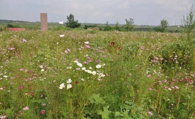 黑龙潭细石器遗址发掘经过