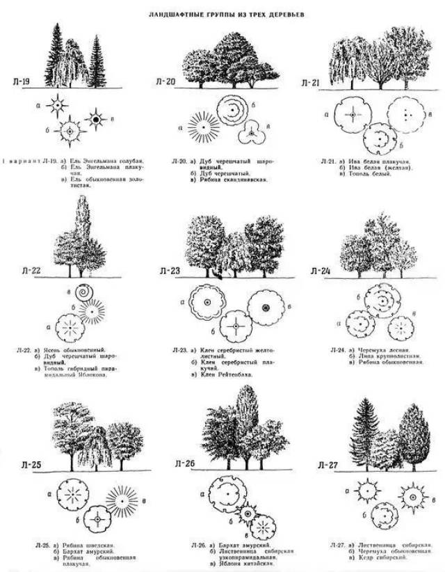 高级项目植物配置·排版 [ps] [su] [cad] [lumion] 人人都在用的