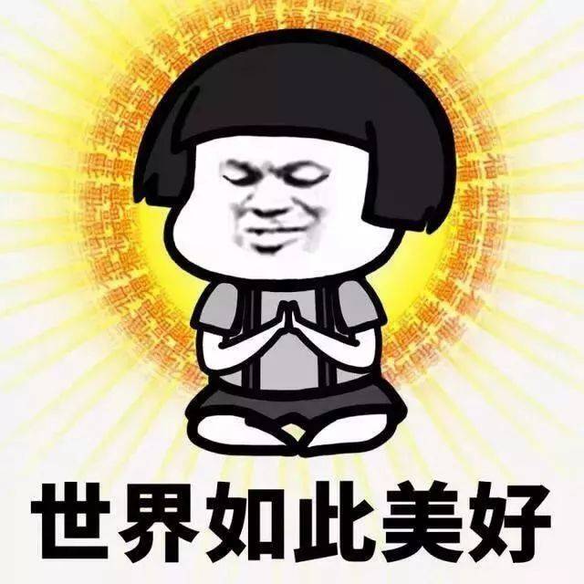 生活观 佛系表情包应运而生 今年最后一波默默红的表情包 就是这只戏