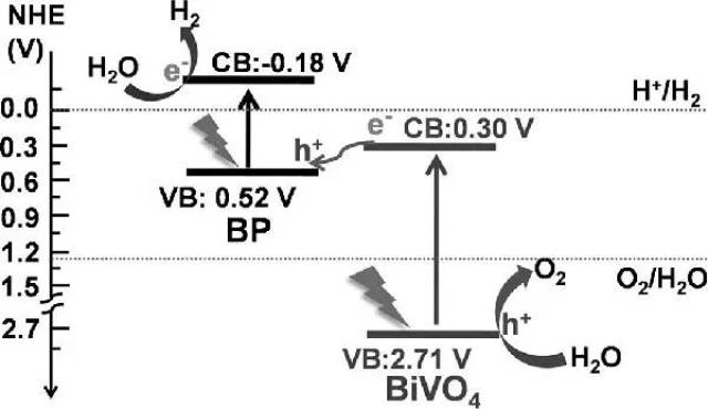 可见光照射下bp/bivo4异质结光催化分解水的z型机理