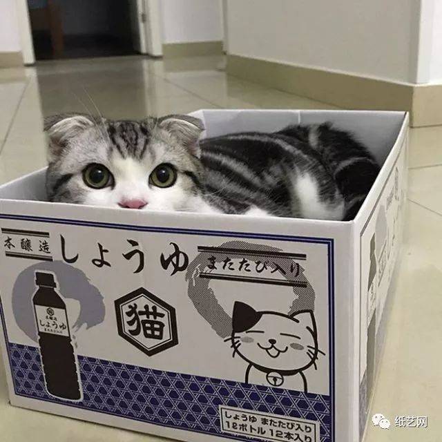 Žֽ̳èѰ