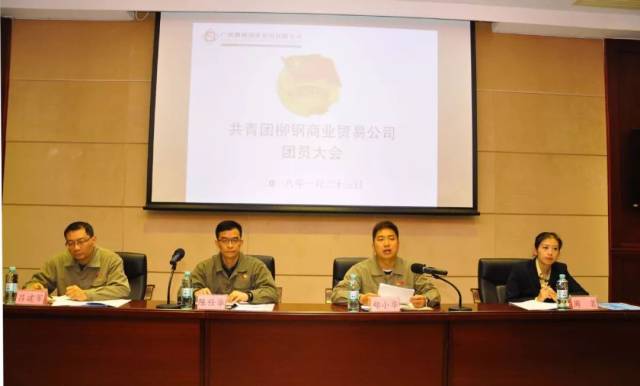 团青关注 共青团柳钢商业贸易公司团员大会顺利召开!