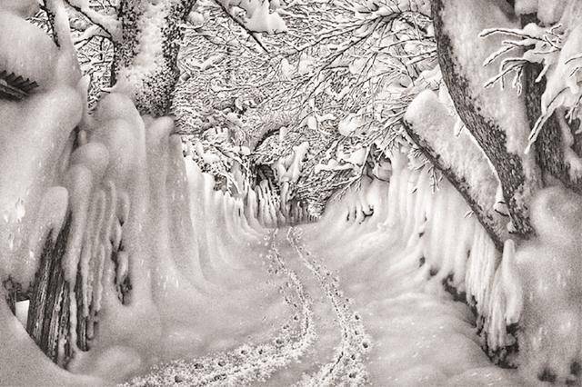 这是一个人画的雪景,用一支铅笔画了60年雪,全世界都为之疯狂了.