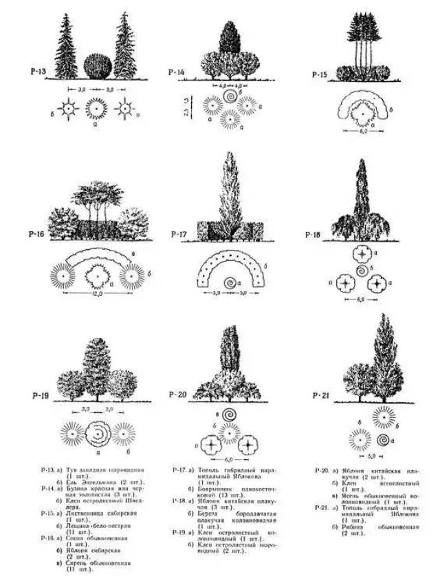 高级项目植物配置·排版 [ps] [su] [cad] [lumion] 人人都在用的