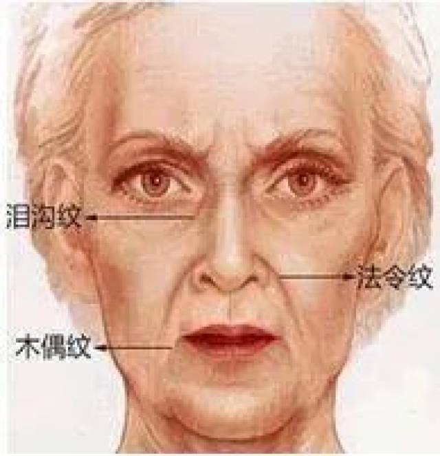 容易生病 常常抿双唇的人 表情都会比较严肃 这是因为他们的三叉神经
