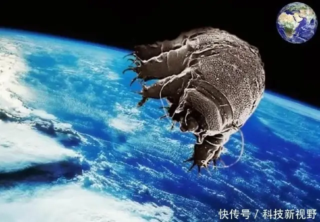 地球上三种"不死生物",最后一种放在外太空还能活十天