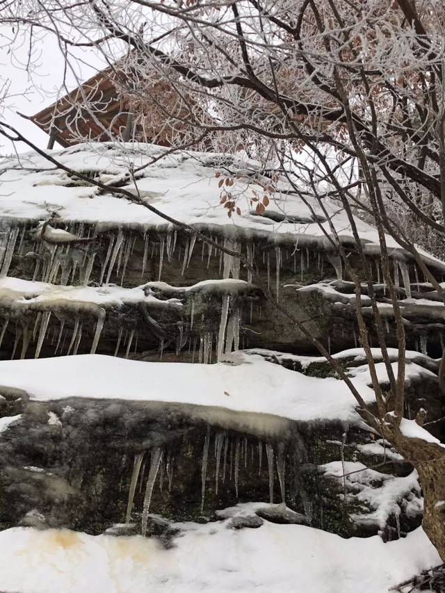 下雪了!武汉进入今冬最冷时段,部分道路结冰,列车停运