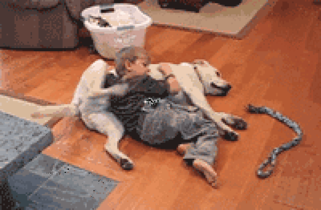 200_131gif 动态图 动图