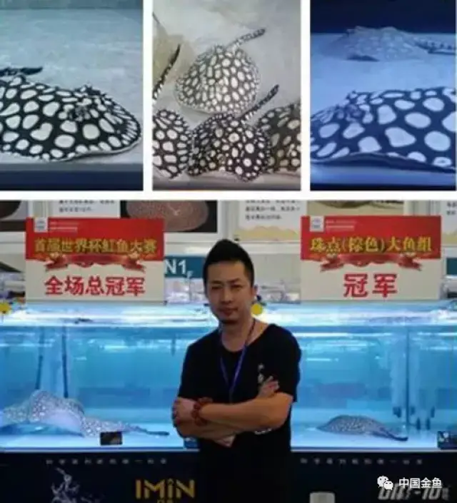 扒一扒,原来这些明星和我们一样爱好哈!