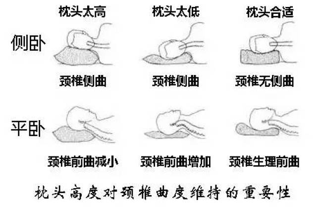 枕头怎么选才睡得更舒服