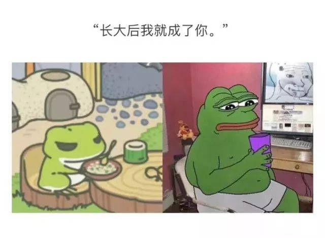 肌肉男养的蛙 vs 你养的蛙,太辣眼睛了