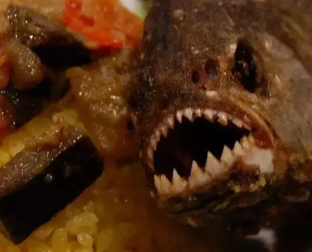 吃货的力量—食人鱼都能被做成佳肴!