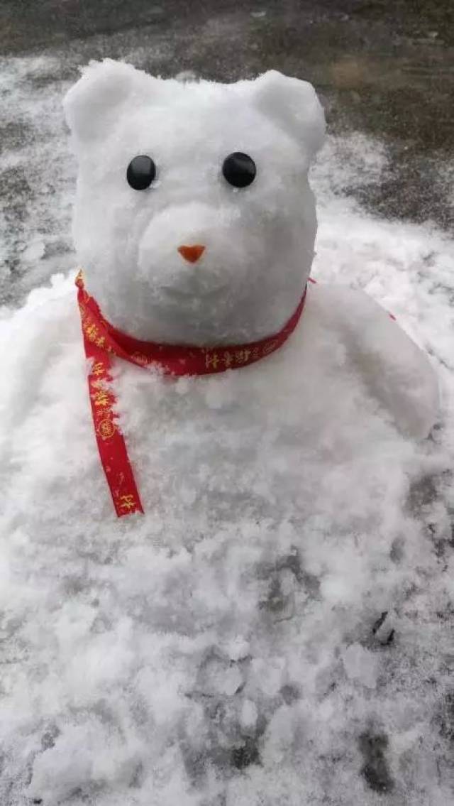 已经有人开始堆起雪人啦! 小兔子好萌啊,看到背影忍不住想摸摸!