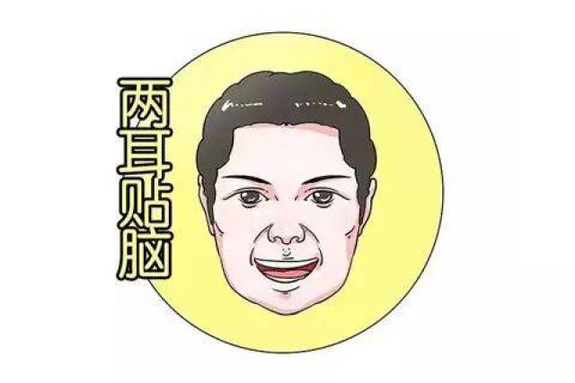 耳相最有福的耳相