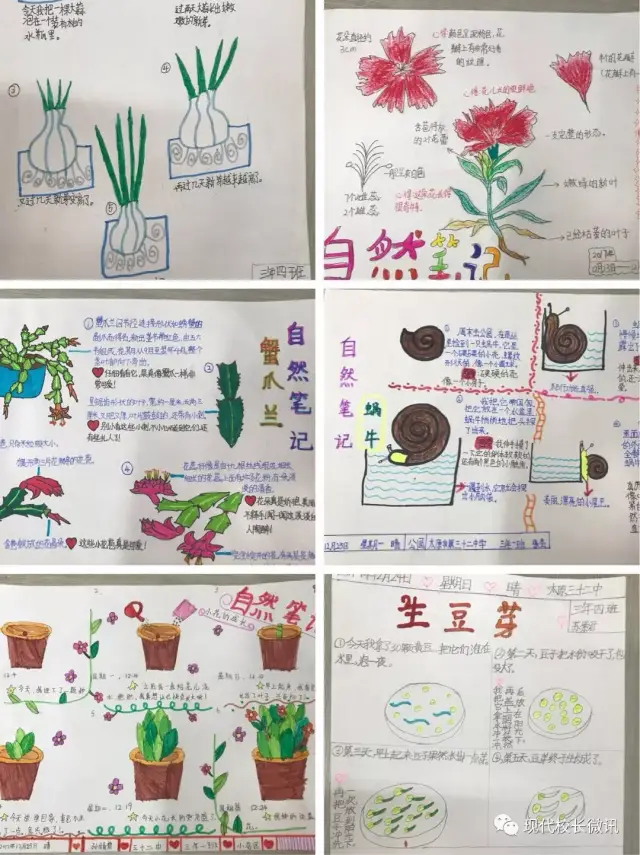 太原小店区中小学生参加"自然龙城,生态未来"自然笔记