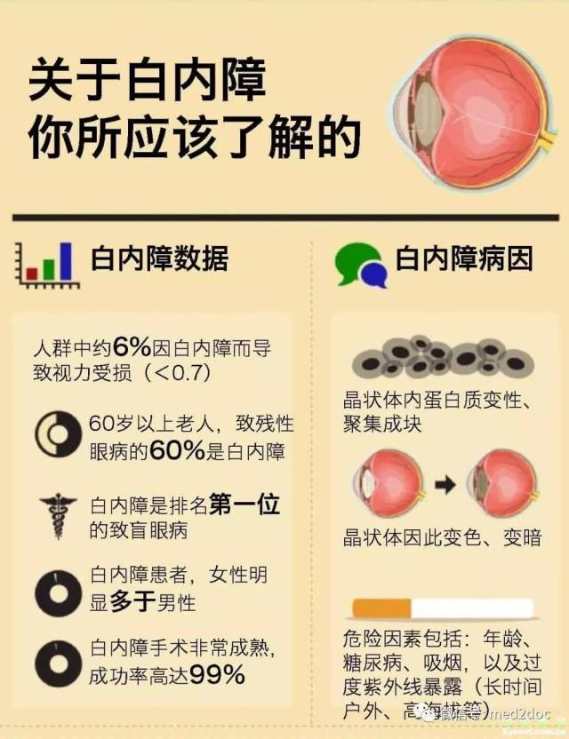 一图读懂白内障
