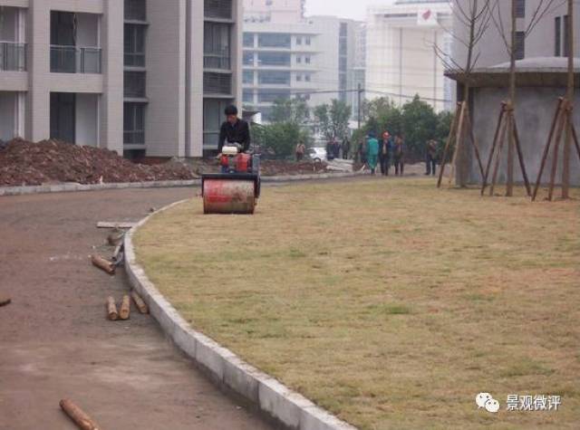 现场| 微地形堆坡及绿化种植工艺标准