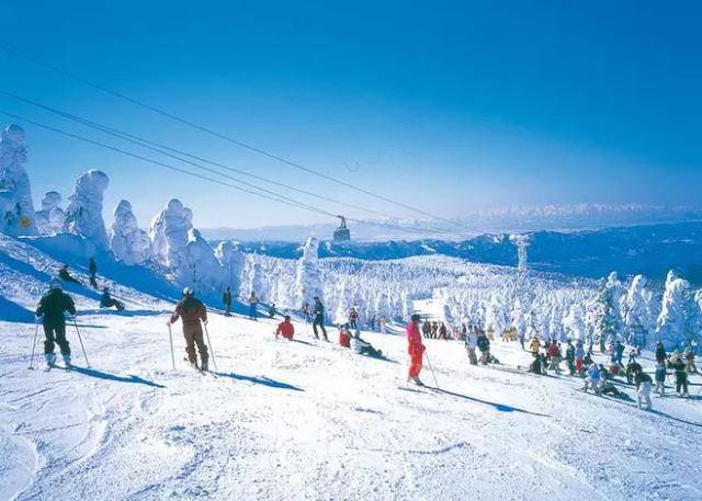 为你盘点庄里几处好玩的滑雪地,约吗?