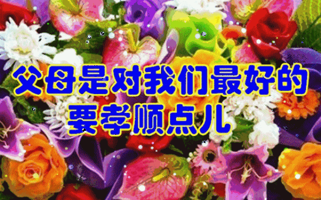 今天腊月初十,送你10句话,10首歌,10张图,十全十美的祝福送给你,祝你