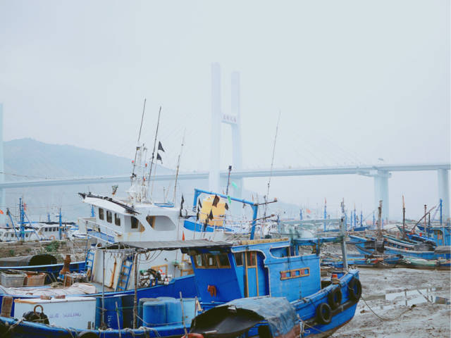 厦门边上的海门岛,鲜美海鲜吃起来
