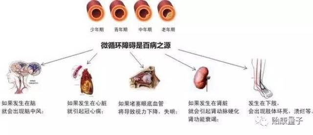 你不了解的10万多公里的微循环血管,你不知道的量子排毒