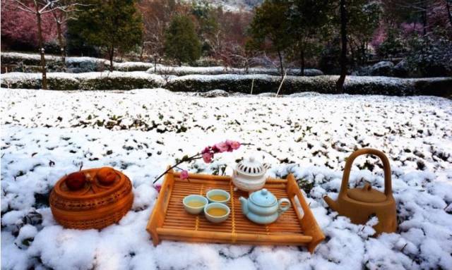 你在喝茶吗? 听说,下雪天与牡丹花茶很配!