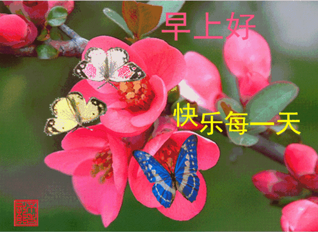 可爱早安问候表情包 早安问候动态图片