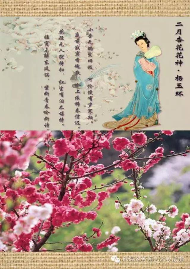 二月杏花展娇媚(花神杨贵妃)