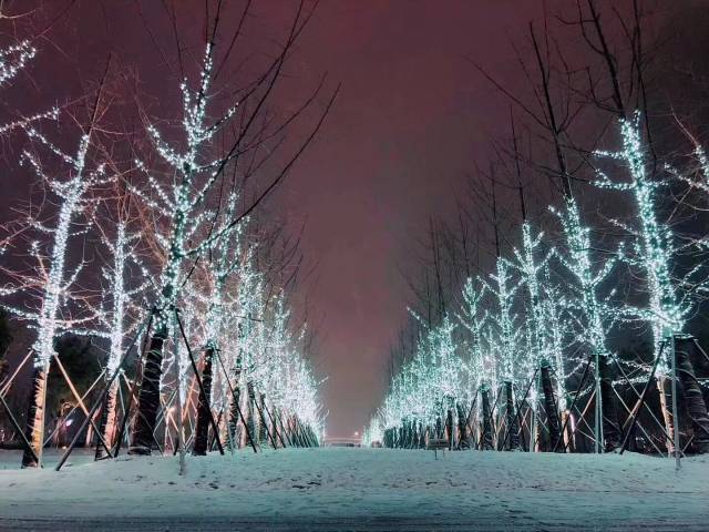 夜晚的雪景显得格外美,多想让时间停留在此刻,过上一室两人三餐四季的