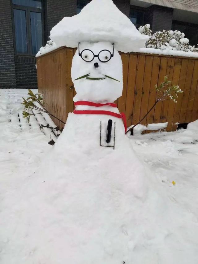 投票| 江南大学朋友圈雪人大征集,有没有哪款是你的菜