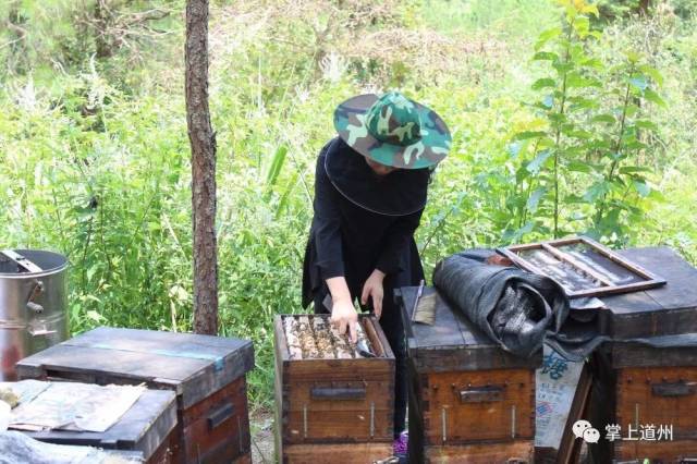 果真,到了2018年,小姑娘八子创业养蜂的故事传遍了道县,"买蜂蜜找八子