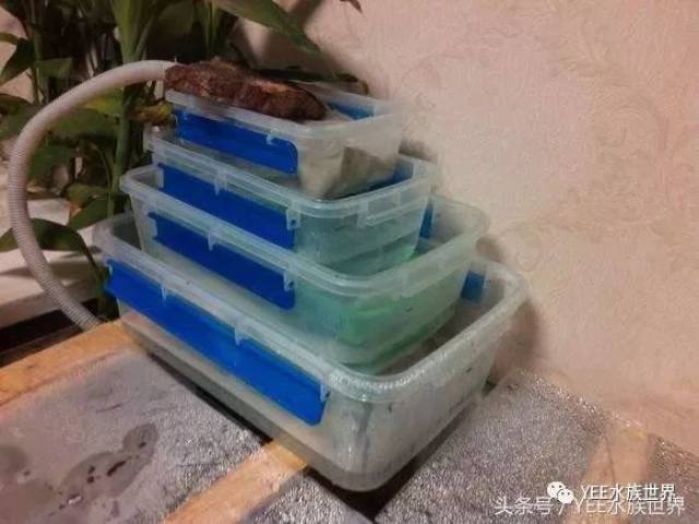 什么是底滤什么是上滤 a3744279678448188ea5a01b0d86e47c.jpeg