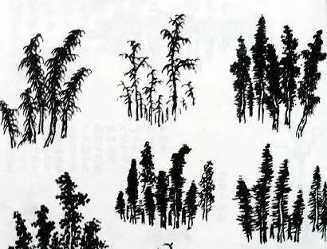 图48a具象丛树画出丛树的基本面貌