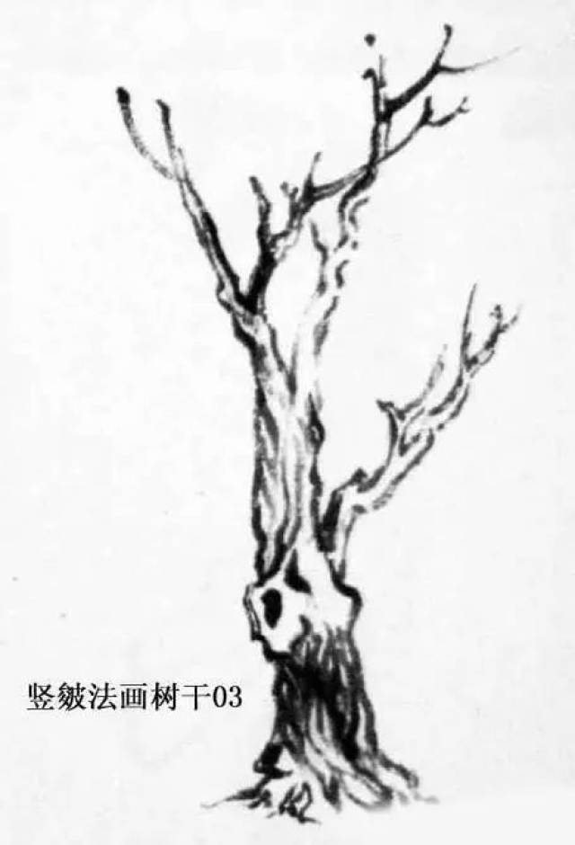 国画教程《树干的画法》学习 欣赏