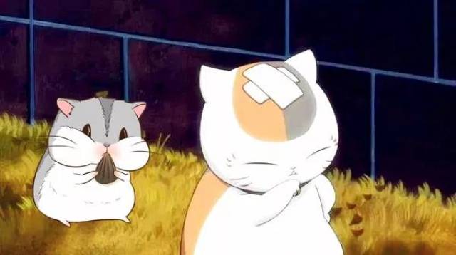 《猫和老鼠的故事》--第六届全国自然杯作文