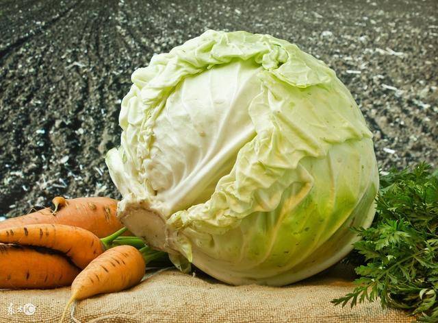 Ĳ:пص,ݸ˾ڵĶϸ,ÿ