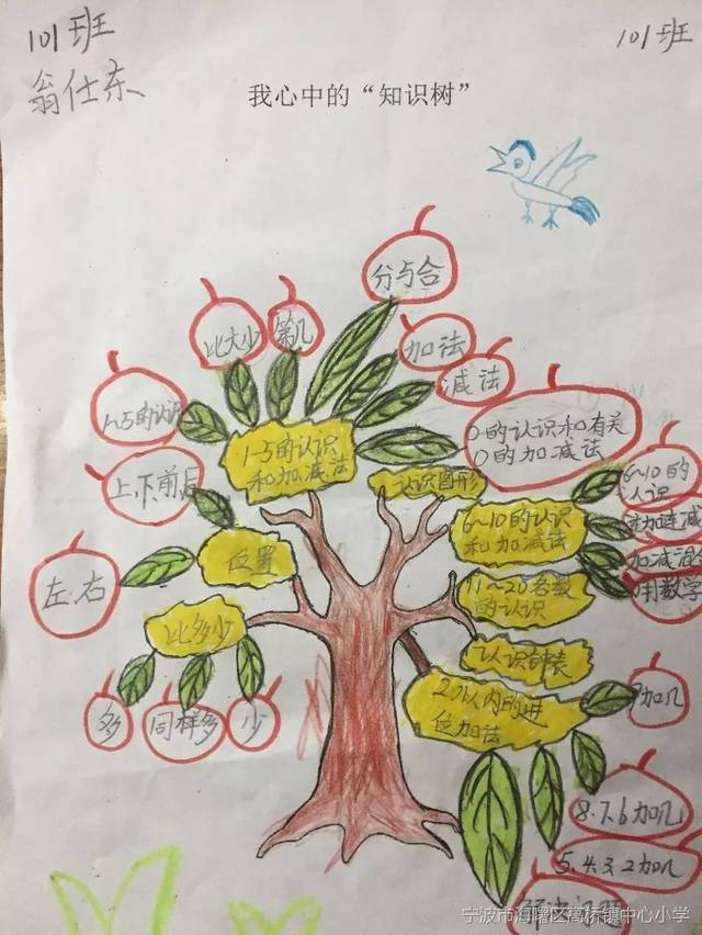 种下"知识树" 分享"智慧果"——记高桥镇中心小学的最后一堂数学课