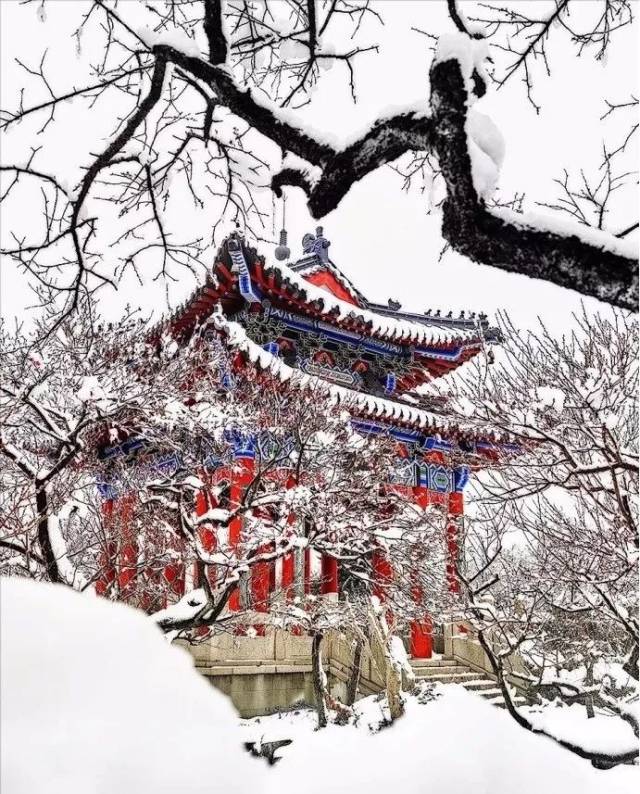 金陵雪‖琉璃世界的纯净,白雪红梅的绝美