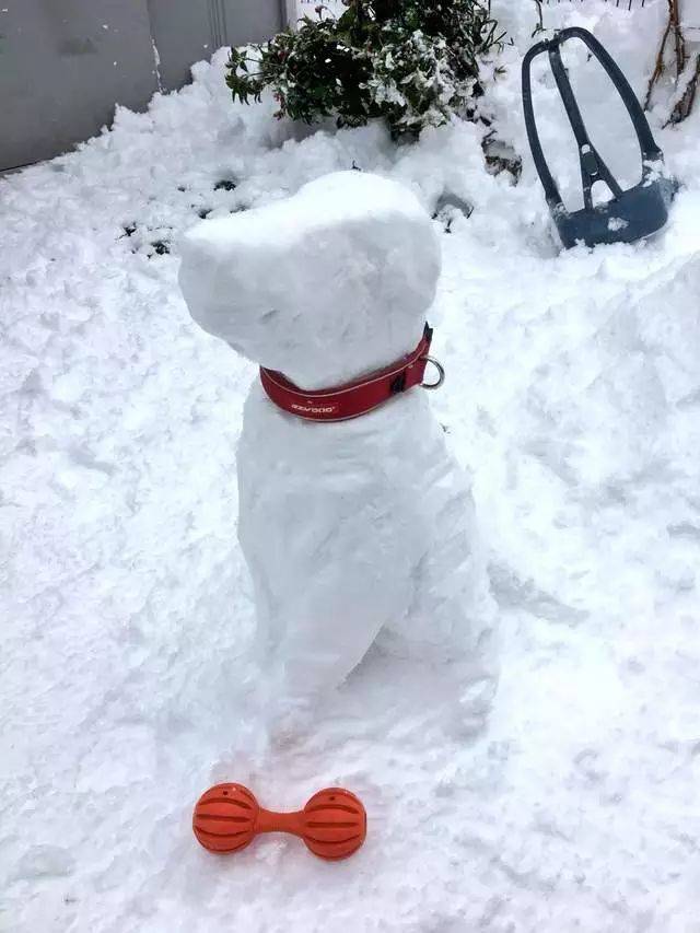 日本网友:只有你想不到没有我们做不到的雪人