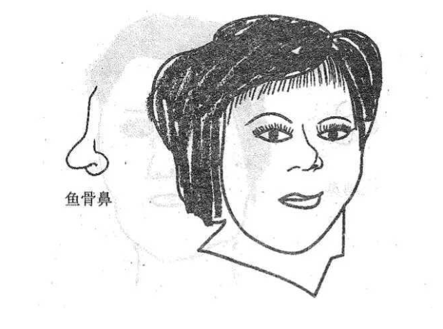 上图:是直筒鼻,这种人祖坟风水龙脉活泼,枝脚相照应,山环水抱,格局