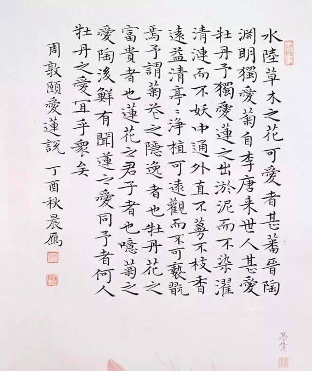 美女书法家陆晨雁,擅小楷,书作于简静中寓质朴,于秀逸