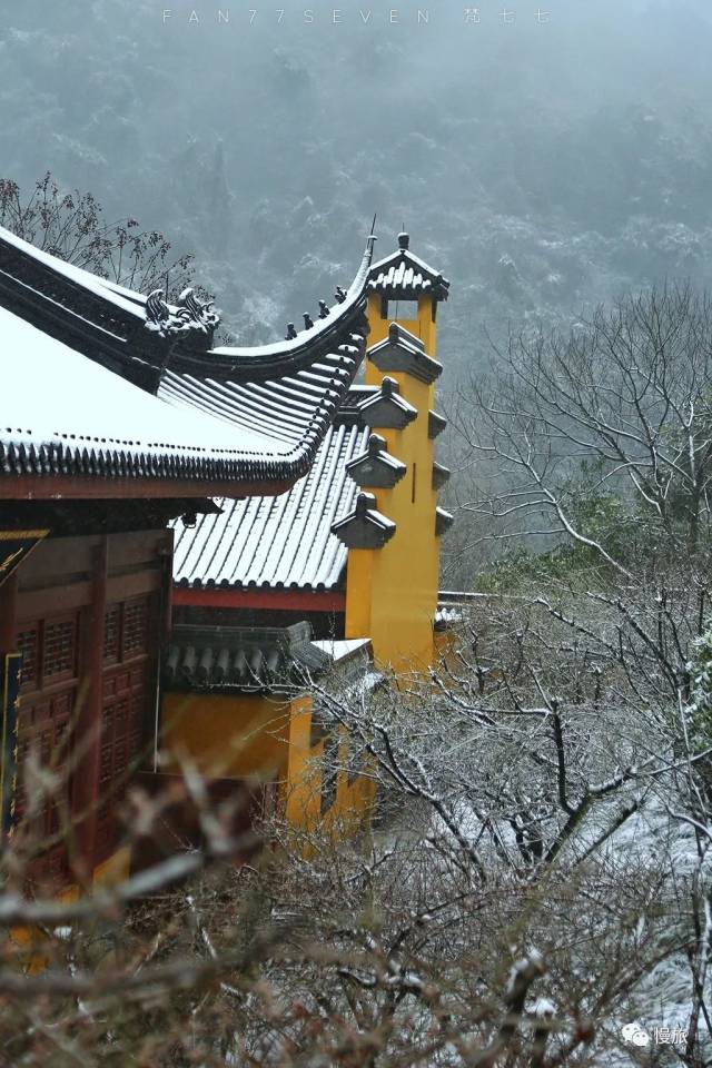 慢旅杭州|雪景美呆!