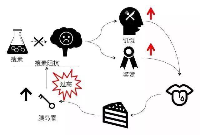 肥胖人口下降_世界肥胖人口占比图片(3)