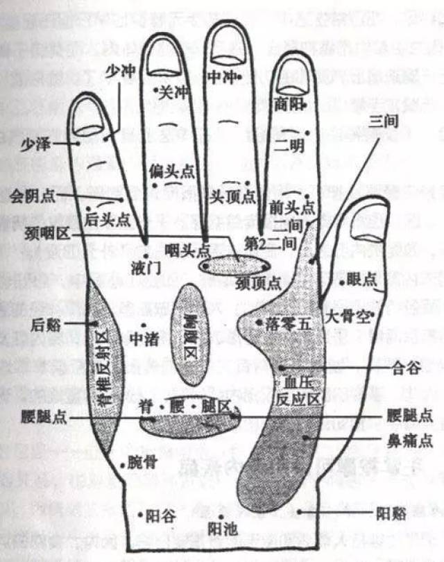 手掌治疗方法大全得了病可试试