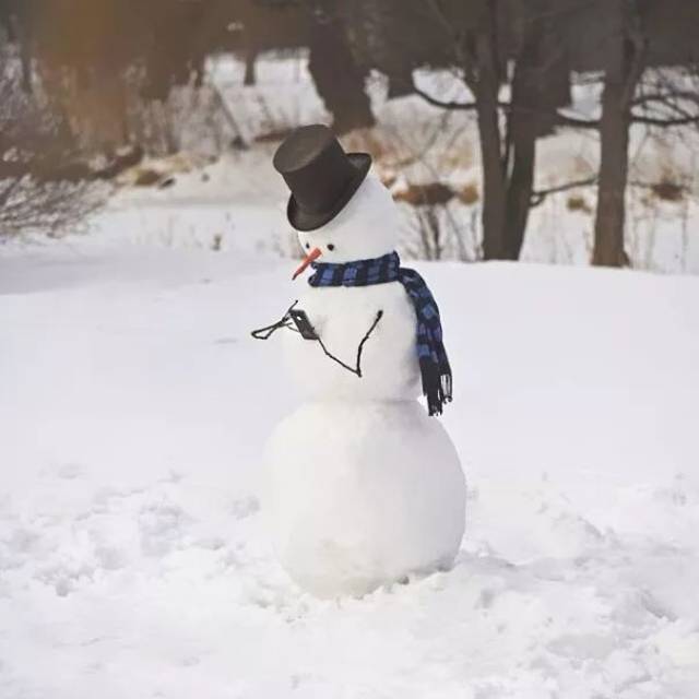 世界各地"雪人"大比拼,原来这些年你的雪人都白堆了